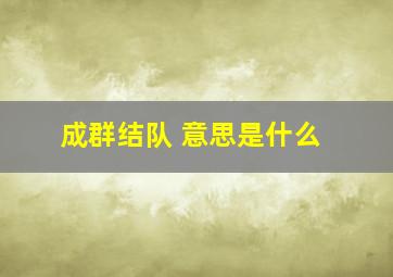 成群结队 意思是什么